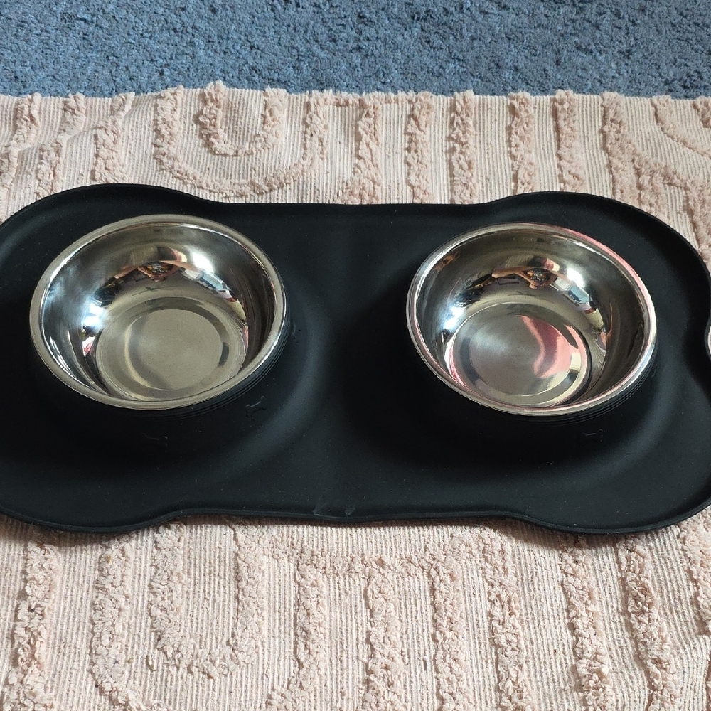 Stainless Steel Pet Bowls with Black Mat - Picture 2 of 7